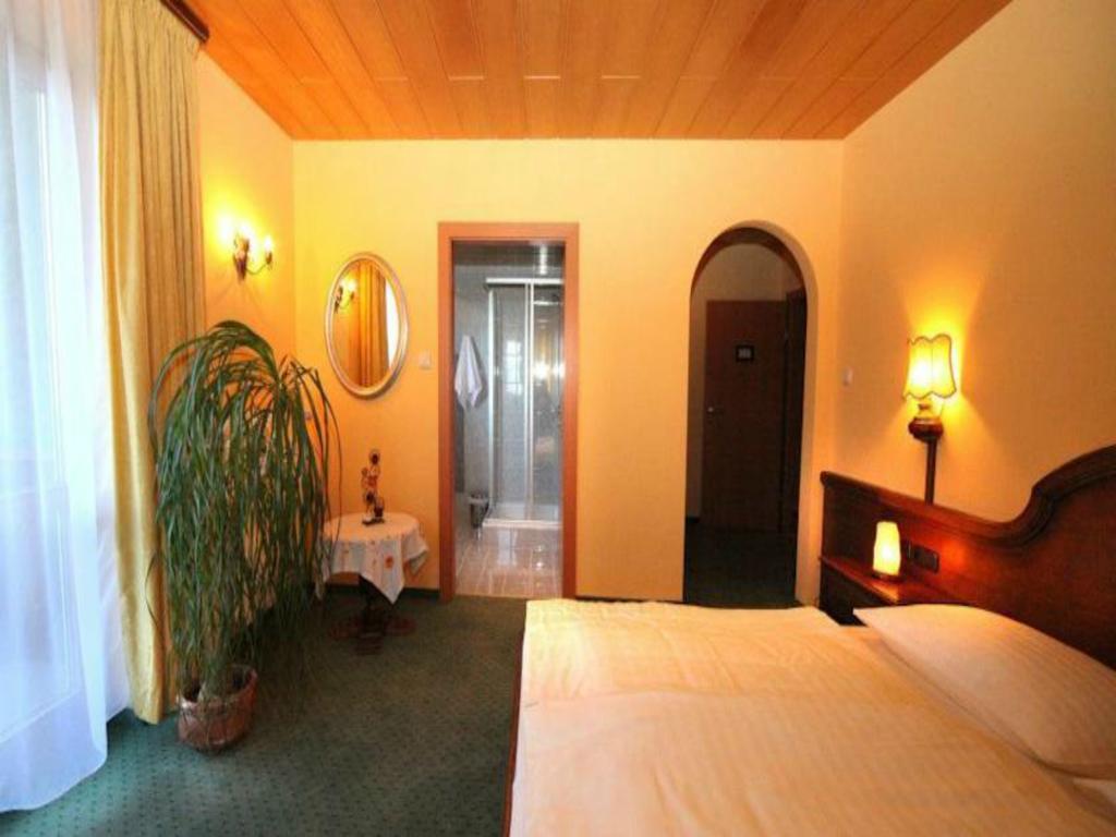 Hotel Hahnbaum Санкт-Йоганн-ім-Понгау Екстер'єр фото