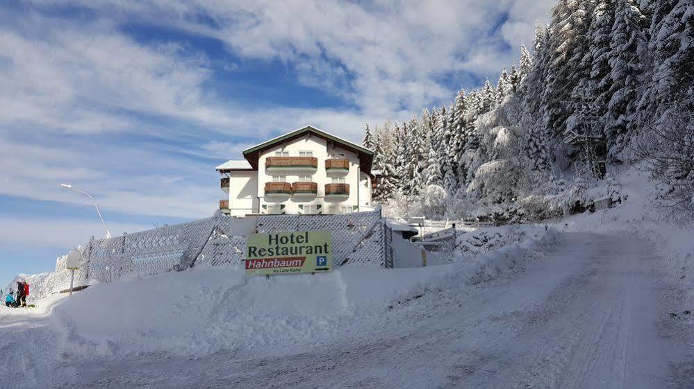 Hotel Hahnbaum Санкт-Йоганн-ім-Понгау Екстер'єр фото