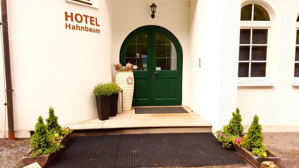 Hotel Hahnbaum Санкт-Йоганн-ім-Понгау Екстер'єр фото